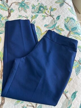 Investments Park Ave Ankle Pants Sz 12